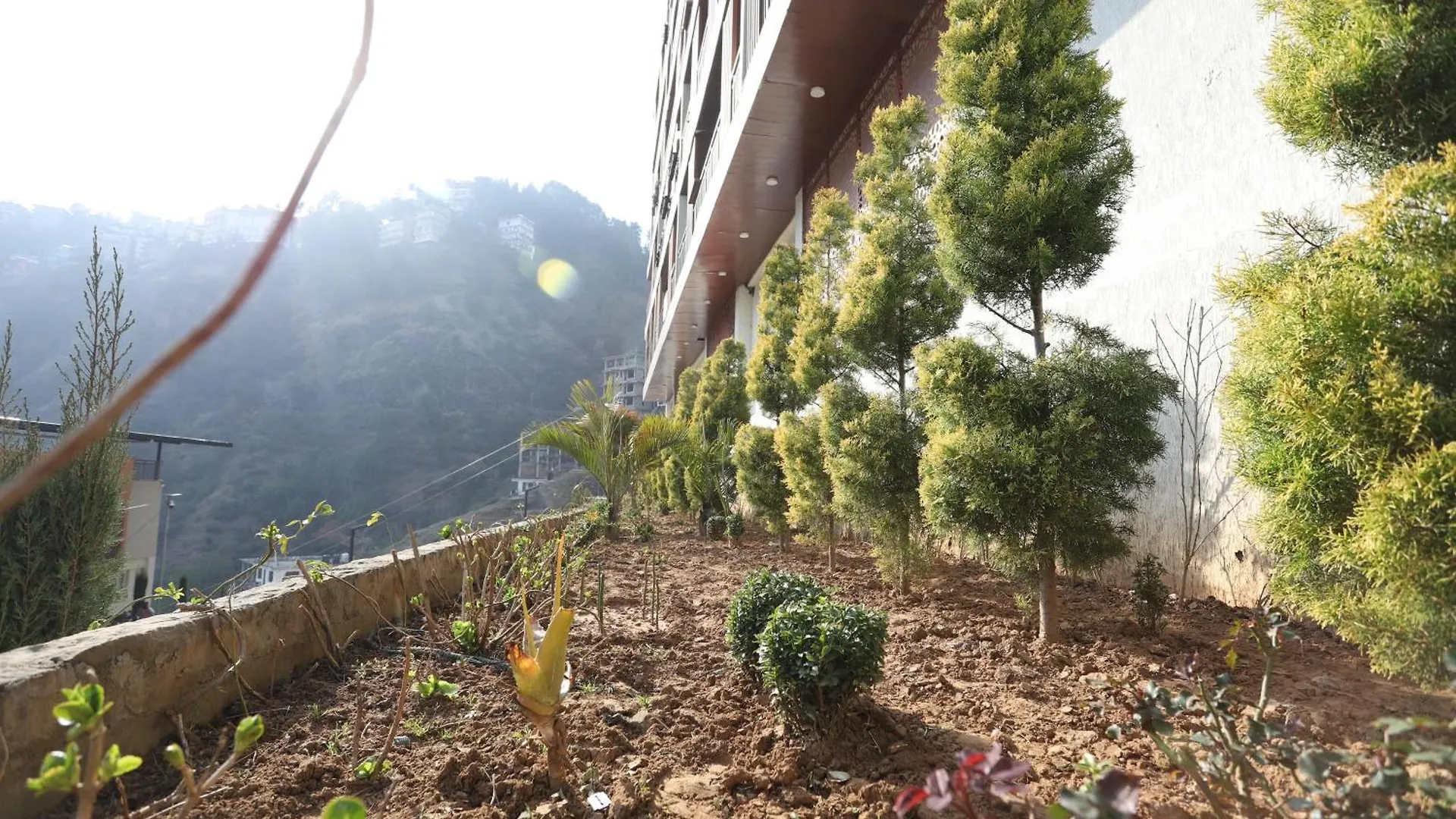 Juniper Whsiper Hotel Shimla India